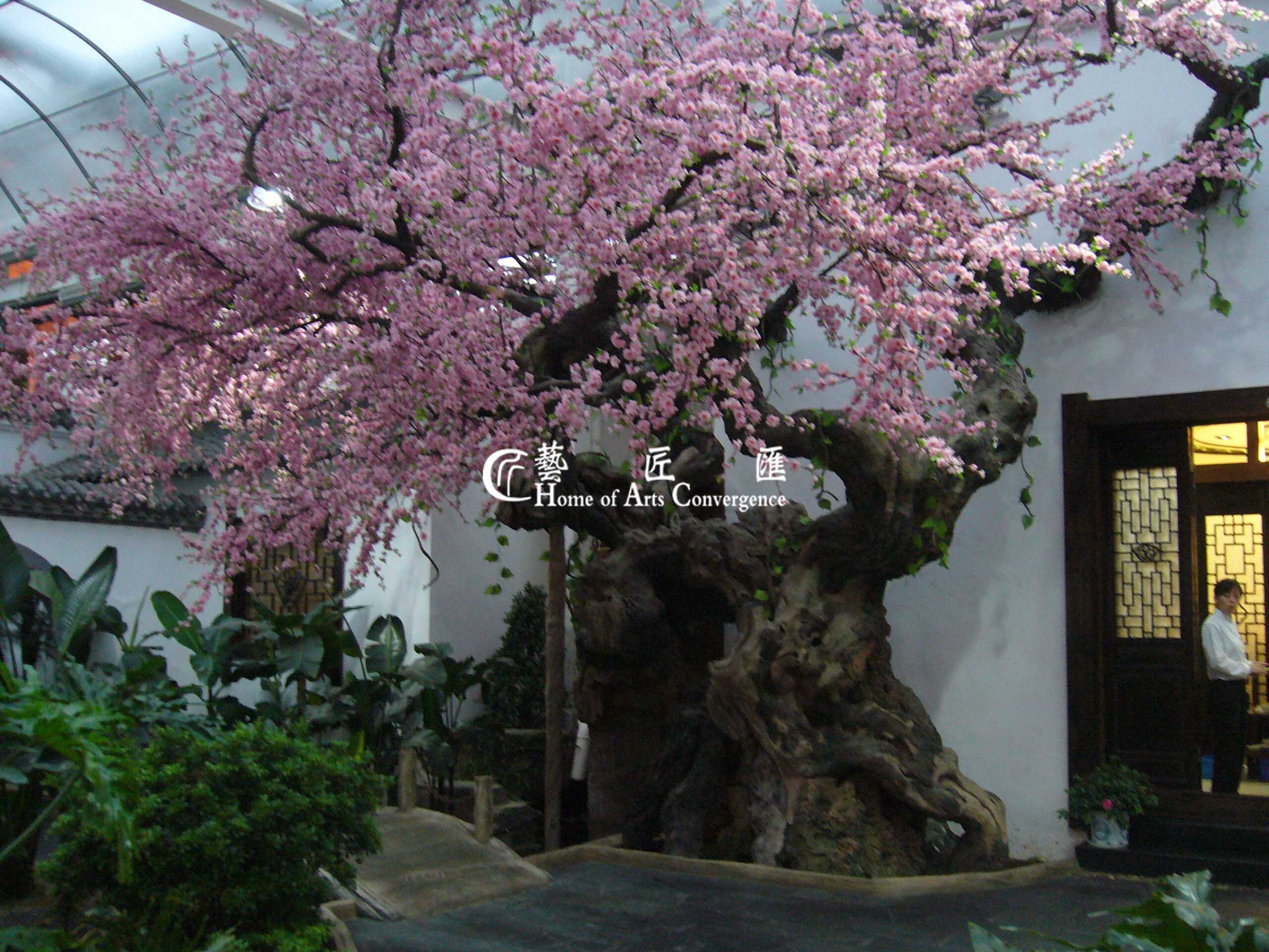 peach blossom tree