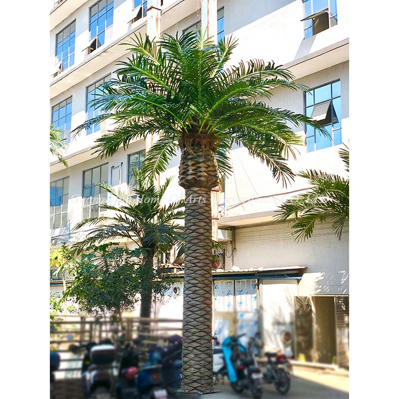 large palm tree for outdoor decor large palm tree for outdoor decor