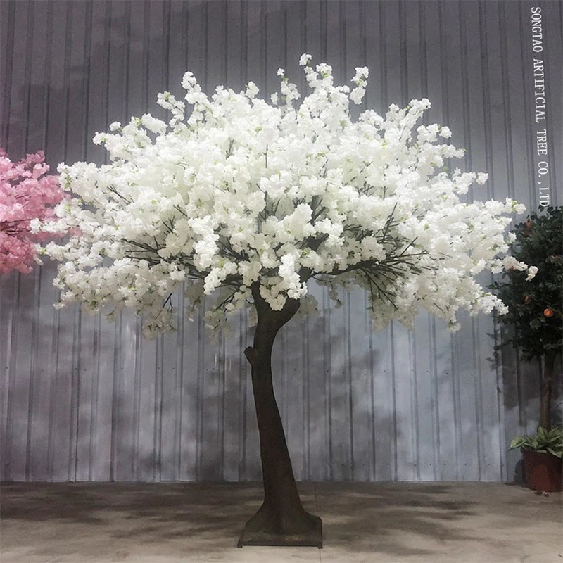 white cherry tree white cherry tree