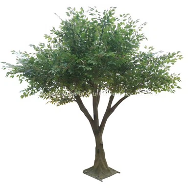 Falošný Banyan Tree