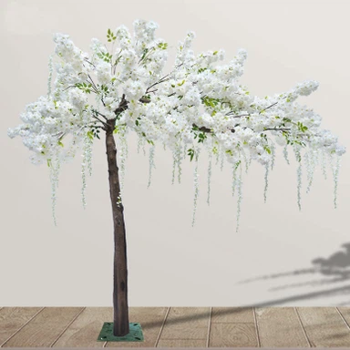 Pozdrav Cherry Blossom Strom Biely kvet Vistárie