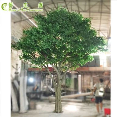 Veľký strom Ficus
